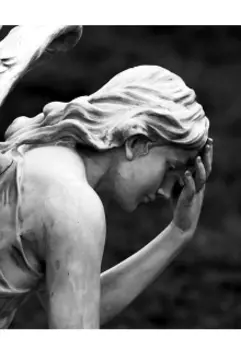 Жертва амура