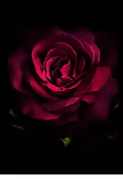 Жизнь - есть игра.