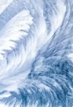 Жизнь Инея(том 1)