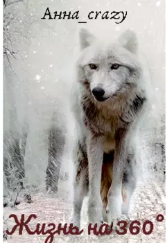 Жизнь на 360°