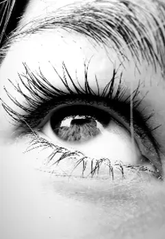 Жизнь прекрасна