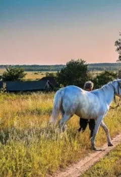 Жизнь прожить, не поле перейти.