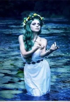 Жизнь в сказке