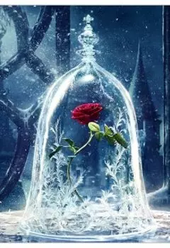 Зимние цветы