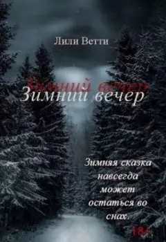 Зимний вечер