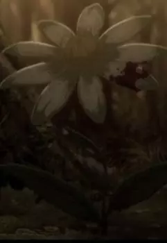 Злые деревья