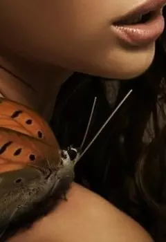 Золотая Бабочка