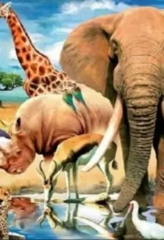 Зоопарк моей жизни