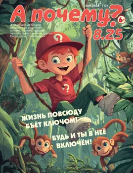 А почему? №08/2025