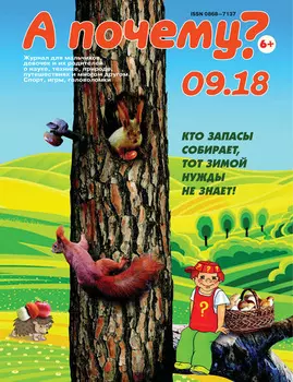 А почему? №09/2018
