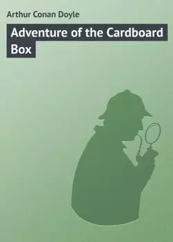 Adventure of the Cardboard Box