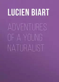 Adventures of a Young Naturalist