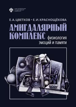 Амигдалярный комплекс. Физиология эмоций и памяти