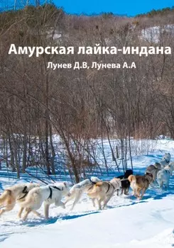 Амурская лайка-индана