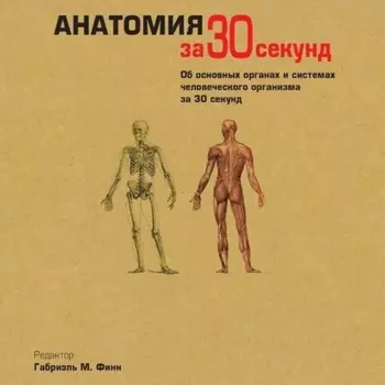 Анатомия за 30 секунд