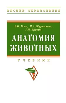 Анатомия животных