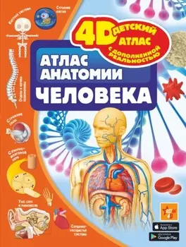 Атлас анатомии человека