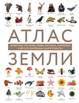 Атлас Земли. Животные, растения, грибы, бактерии, минералы и другие сокровища нашей планеты