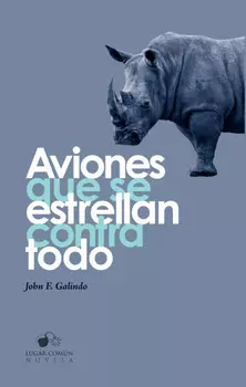 Aviones que se estrellan contra todo