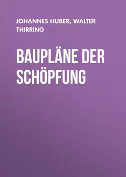Baupl?ne der Sch?pfung