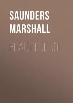 Beautiful Joe