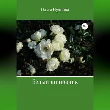 Белый шиповник
