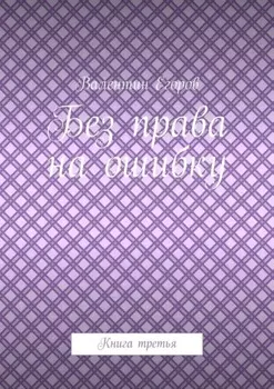 Без права на ошибку. Книга третья
