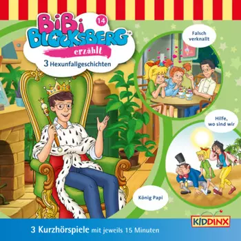 Bibi Blocksberg, Bibi erz?hlt, Folge 14: Hexunfallgeschichten