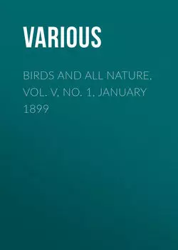 Birds and all Nature, Vol. V, No. 1, January 1899