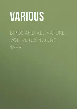 Birds and All Nature, Vol. VI, No. 1, June 1899
