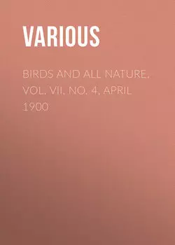 Birds and all Nature, Vol. VII, No. 4, April 1900