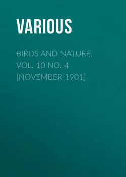 Birds and Nature, Vol. 10 No. 4 [November 1901]