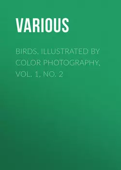 Birds, Illustrated by Color Photography, Vol. 1, No. 2