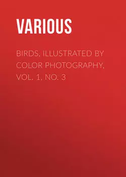 Birds, Illustrated by Color Photography, Vol. 1, No. 3