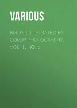 Birds, Illustrated by Color Photography, Vol. 1, No. 6