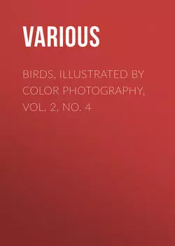 Birds, Illustrated by Color Photography, Vol. 2, No. 4