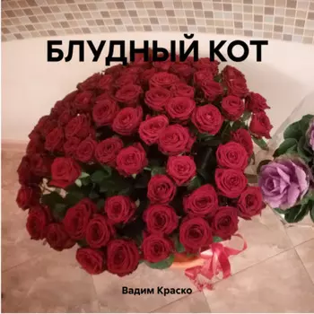 БЛУДНЫЙ КОТ