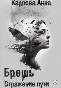 Брешь. Отражение пути