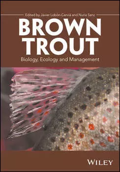 Brown Trout