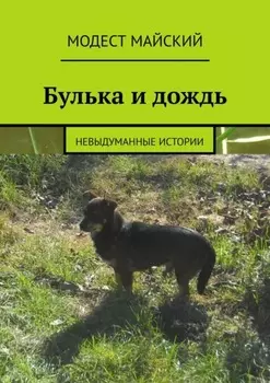 Булька и дождь. Невыдуманные истории
