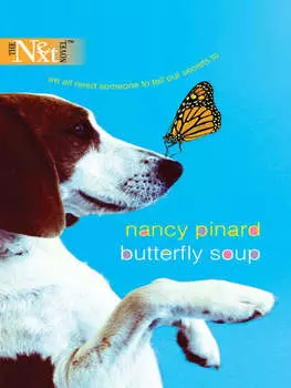 Butterfly Soup