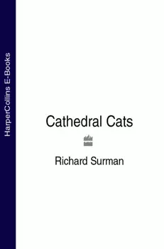 Cathedral Cats