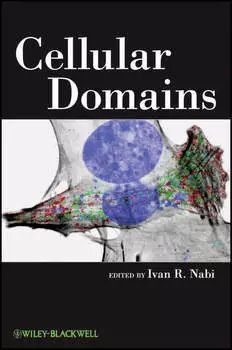 Cellular Domains