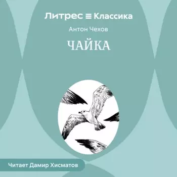 Чайка