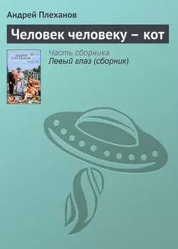 Человек человеку – кот