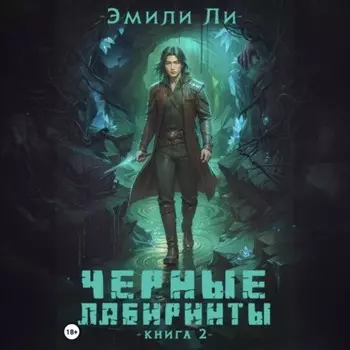 Черные лабиринты. Книга 2