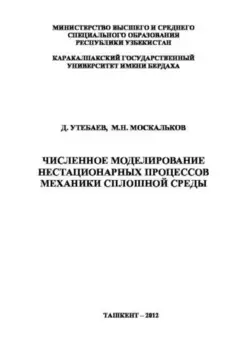 Численное моделирование нестационарных процессов механики сплошной среды