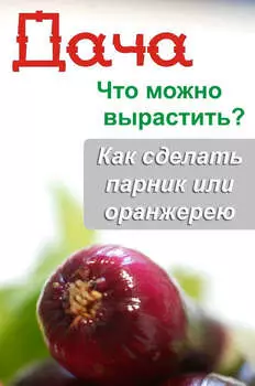 Что можно вырастить? Как сделать парник или оранжерею