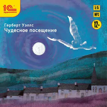 Чудесное посещение