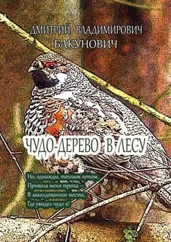 Чудо-дерево в лесу